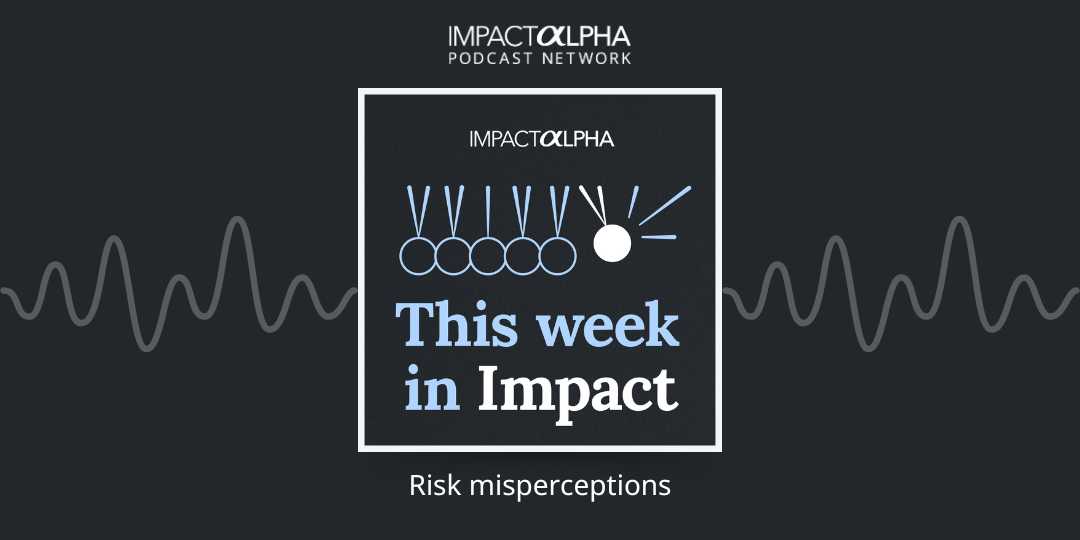 ImpactAlpha’s CEO transition