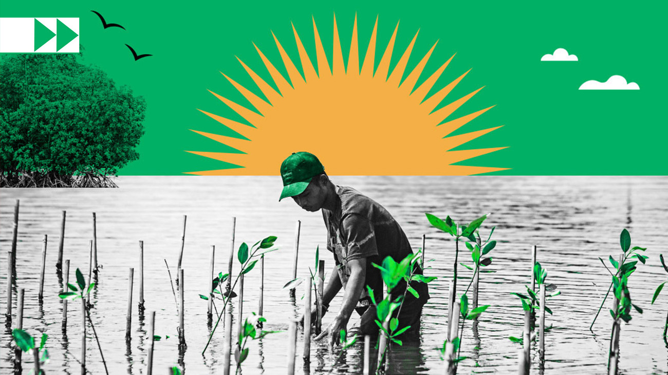 climate adaptation