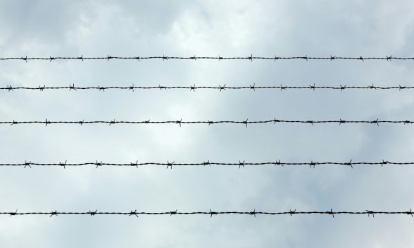 sky seen through barbed wire